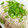 ゆめめ☆'s cooksnap of when they made たらこと白滝の炒り煮.