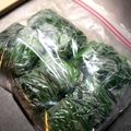 ＬＯＶＥＤＯＧＳ's cooksnap of when they made ほうれん草（葉もの野菜）の冷凍　保存方法.