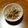 おい's cooksnap of when they made 塩昆布の黒ごまごぼうサラダ.