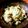 miku77's cooksnap of when they made いかなごのくぎ煮と三つ葉の簡単混ぜご飯.