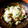 miku77's cooksnap of when they made いかなごのくぎ煮と三つ葉の簡単混ぜご飯.