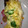 ゆうたんゆう's cooksnap of when they made ＊鮭の味噌マヨ＊.