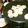 えみぱお's cooksnap of when they made うまっ！フライパンで焼き肉まんHB♪.