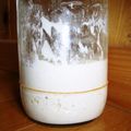 はかあ's cooksnap of when they made 自家製カスピ海ヨーグルト酵母　培養編.