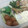 そこらへんの迷子's cooksnap of when they made ピーマンちくわ炒め.