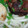 mio-choco's cooksnap of when they made ソーキ（豚軟骨肉）の煮付け.
