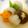 山本ゆうき's cooksnap of when they made 料亭風*季節野菜の煮物・薄くずあんかけ.