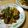 しのばぁたん's cooksnap of when they made お肉なしの麻婆なす.