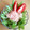 ツインズ♀ママ's cooksnap of when they made 簡単☆水菜のシャキシャキ和風サラダ.
