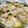 がんちゃんのお家's cooksnap of when they made レンジで簡単！鶏の中華蒸し.