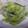 セルディアス's cooksnap of when they made 簡単♪豚とキャベツの酒蒸し.