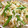 reotAmoe's cooksnap of when they made じゃがいもと絹さやの塩きんぴら.