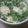 サッちん's cooksnap of when they made ＜今が旬＞グリーンピースの卵とじ.