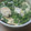 サッちん's cooksnap of when they made ＜今が旬＞グリーンピースの卵とじ.