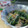 稟子の台所's cooksnap of when they made 簡単！ほうれん草のツナメタケ和え.