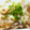 imamisaki's cooksnap of when they made こくウマｯｯ!!豚バラとごぼうの炒飯★.