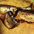 ryoco722's cooksnap of when they made 圧力鍋★骨までおいしい秋刀魚の梅干煮.