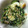 mii9171's cooksnap of when they made 簡単一品！ほうれん草の中華マヨお浸し.