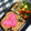 oks25's cooksnap of when they made 我が家の定番!お弁当用 ソーセージ.