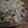 potpourri☆'s cooksnap of when they made かにカマと青梗菜のあんかけ.