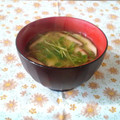 kururin18's cooksnap of when they made 豆苗ときのこのみそ汁.