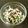 ぷりんゆあ's cooksnap of when they made 新玉ねぎとひじきの☆マヨぽんサラダ.