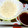 LOUTS's cooksnap of when they made 冷やし中華風？そうめんのつけだれ☆彡.