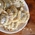 ちー＊＊'s cooksnap of when they made アイヌネギ（行者にんにく）の焼き餃子.