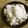 3姉妹ちゃんママ's cooksnap of when they made 空豆ツナご飯.