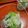 ぼのつま's cooksnap of when they made しらすと三つ葉のおろし酢和え.