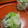 ぼのつま's cooksnap of when they made しらすと三つ葉のおろし酢和え.