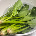 ★なみ☆'s cooksnap of when they made 綺麗無駄ない小松菜・法蓮草の洗い方切り方.