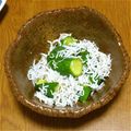 スージー＆ジル's cooksnap of when they made きゅうりとしらす干しの酢の物.