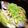 hugme's cooksnap of when they made 鯛の昆布茶酒蒸し.