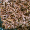 ゆきここまち's cooksnap of when they made 簡単♪鶏そぼろ.