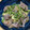 Buchisho☆'s cooksnap of when they made おつまみに【砂肝のにんにくネギ塩炒め】.