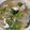 ♬のんのこ日和♬'s cooksnap of when they made 中華風野菜たっぷりスープ.