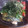 ふか谷's cooksnap of when they made クセになる旬のさんまを使った男の蒲焼き風.