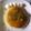 秘密のゆり's cooksnap of when they made キャラメル・バナナ・パンケーキ.