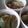 ☆えりママ☆'s cooksnap of when they made 新じゃがの煮物.