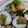 ゆめころん。's cooksnap of when they made 韓国風！豚キムチの太巻き！恵方巻きにも！.