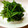 キャンディMA's cooksnap of when they made ほうれん草の胡麻和え.