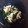 そらちゅんさん's cooksnap of when they made しめじとわかめの酢の物.
