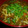 まゆまゆ１１０６'s cooksnap of when they made ♪ハンパに余ったカレーを増やしてカレーうどんに変身～♪.
