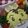 ＊Ricco＊'s cooksnap of when they made しまじろう弁当（キャラ弁）.