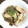 hiroro♪'s cooksnap of when they made 手羽先と卵のオイスター煮.