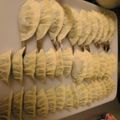 ｺｺﾛ's cooksnap of when they made エビ！プリッ♪餃子.