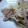 さとみんみん's cooksnap of when they made シャキシャキもやしと豚肉の炒め物.