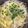 みいこのともだち's cooksnap of when they made 簡単♪シャキシャキ♪もやしの中華スープ.