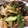 popo123123's cooksnap of when they made ウチの定番♪ナスと豚肉の＊和風野菜炒め＊.